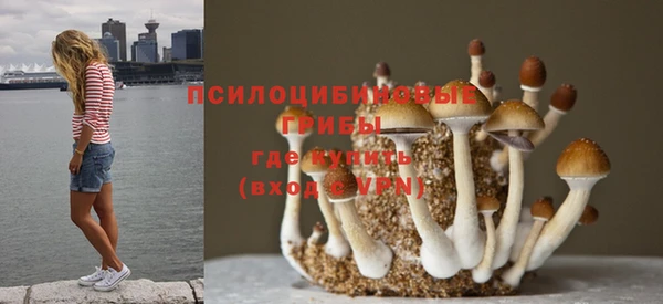 соль ск Богородицк