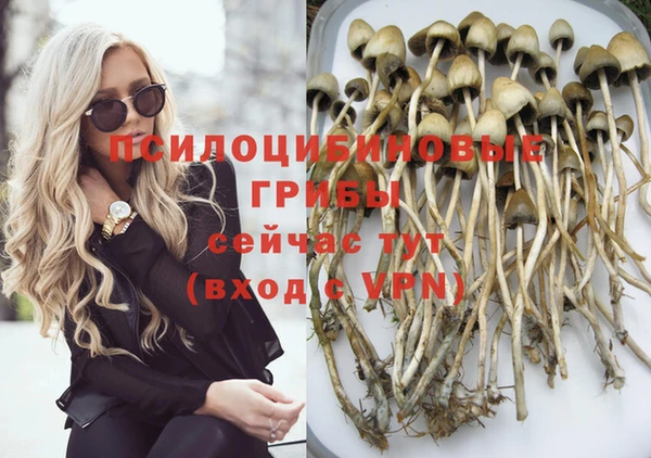 COCAINE Богданович