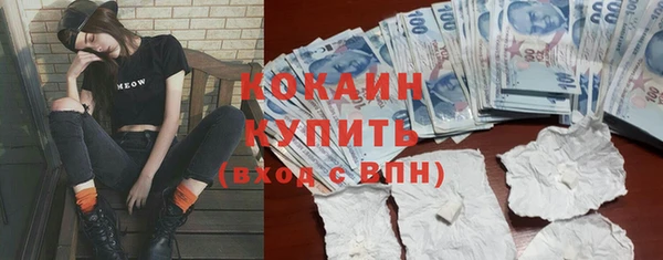 соль ск Богородицк