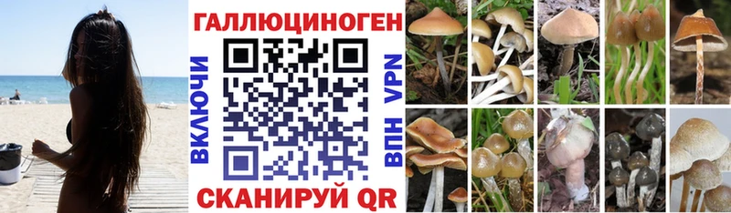 наркошоп Горнозаводск Псилоцибиновые грибы прущие грибы
